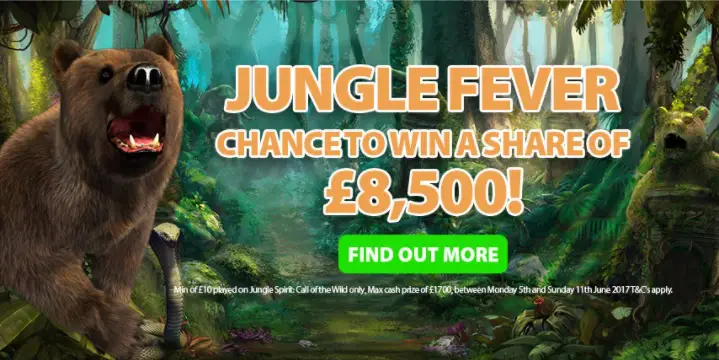 Fika Casino Promotion