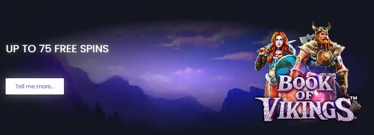 SlotSite Casino - Book of Vikings