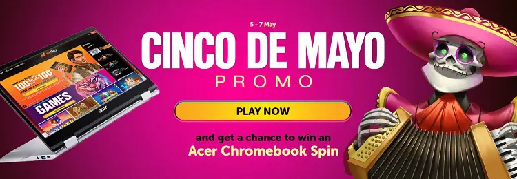WildSlots Casino Promotion