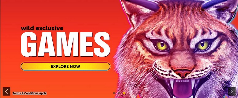 WildSlots Casino Promotion